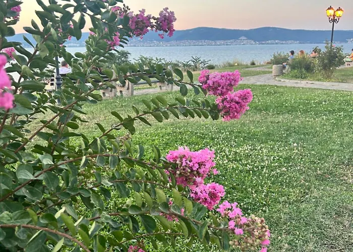 Sea Солнечный берег